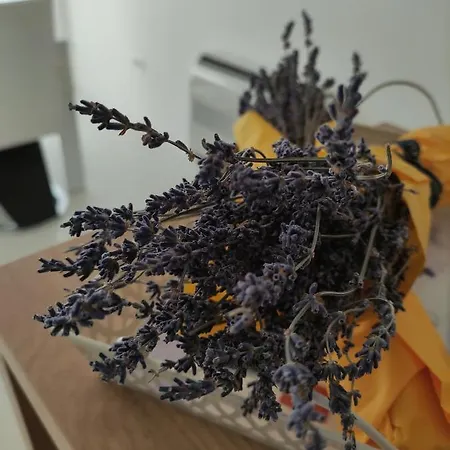 Bruno - Luxury Penthouse With Jacuzzi Apartman *